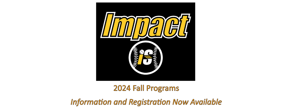 Fall Baseball 2024